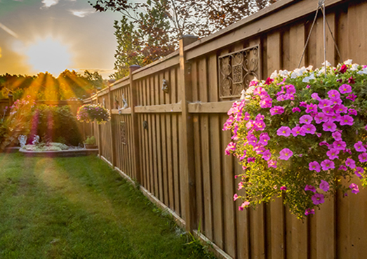 pelouse d'été verte pendant le coucher du soleil